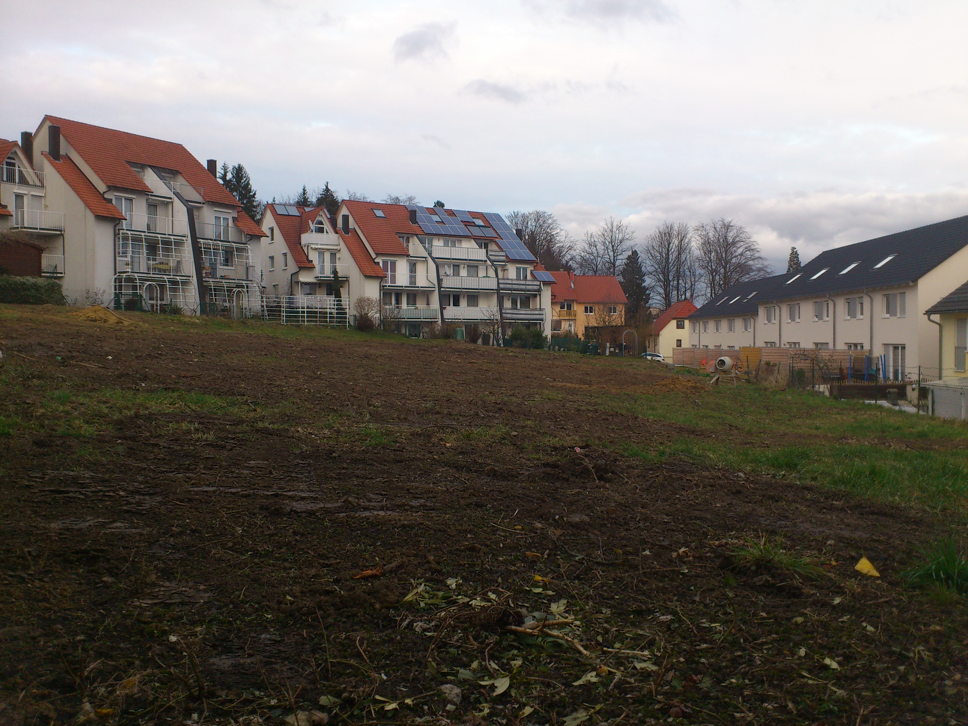 Verwildertes Gelände nach der Rodung in Maihälden - dunkle Erde mit Spuren von Baggerarbeiten